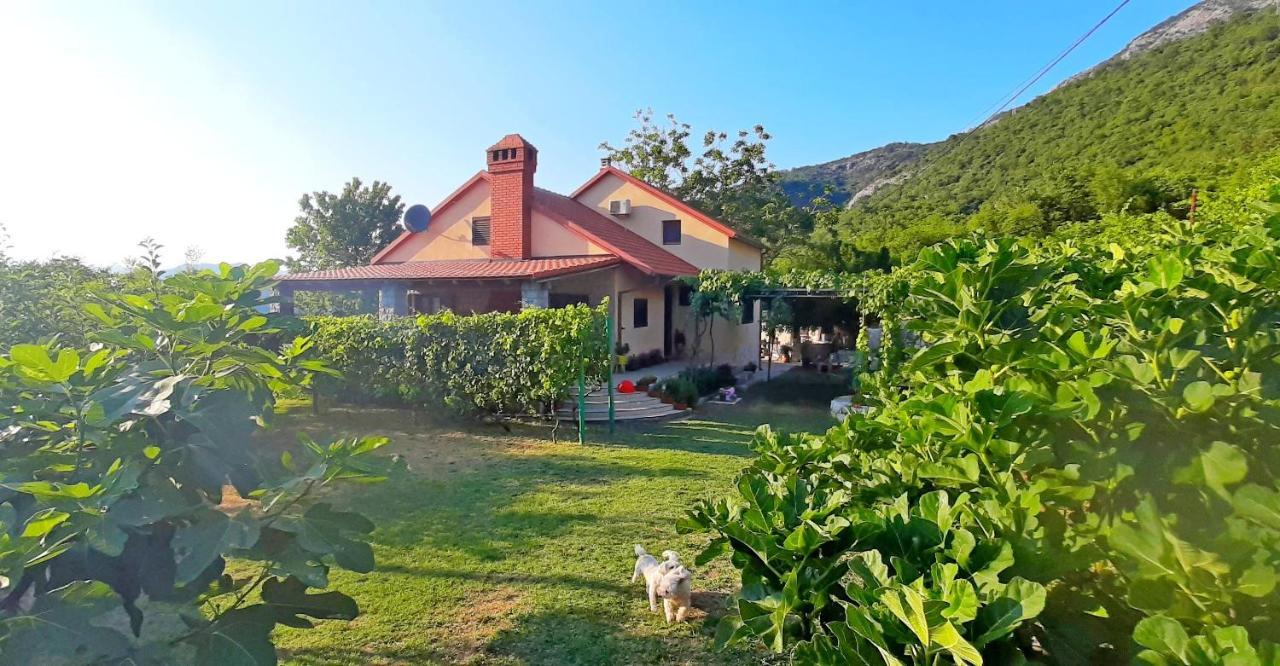 Vila Pegaz Virpazar Extérieur photo